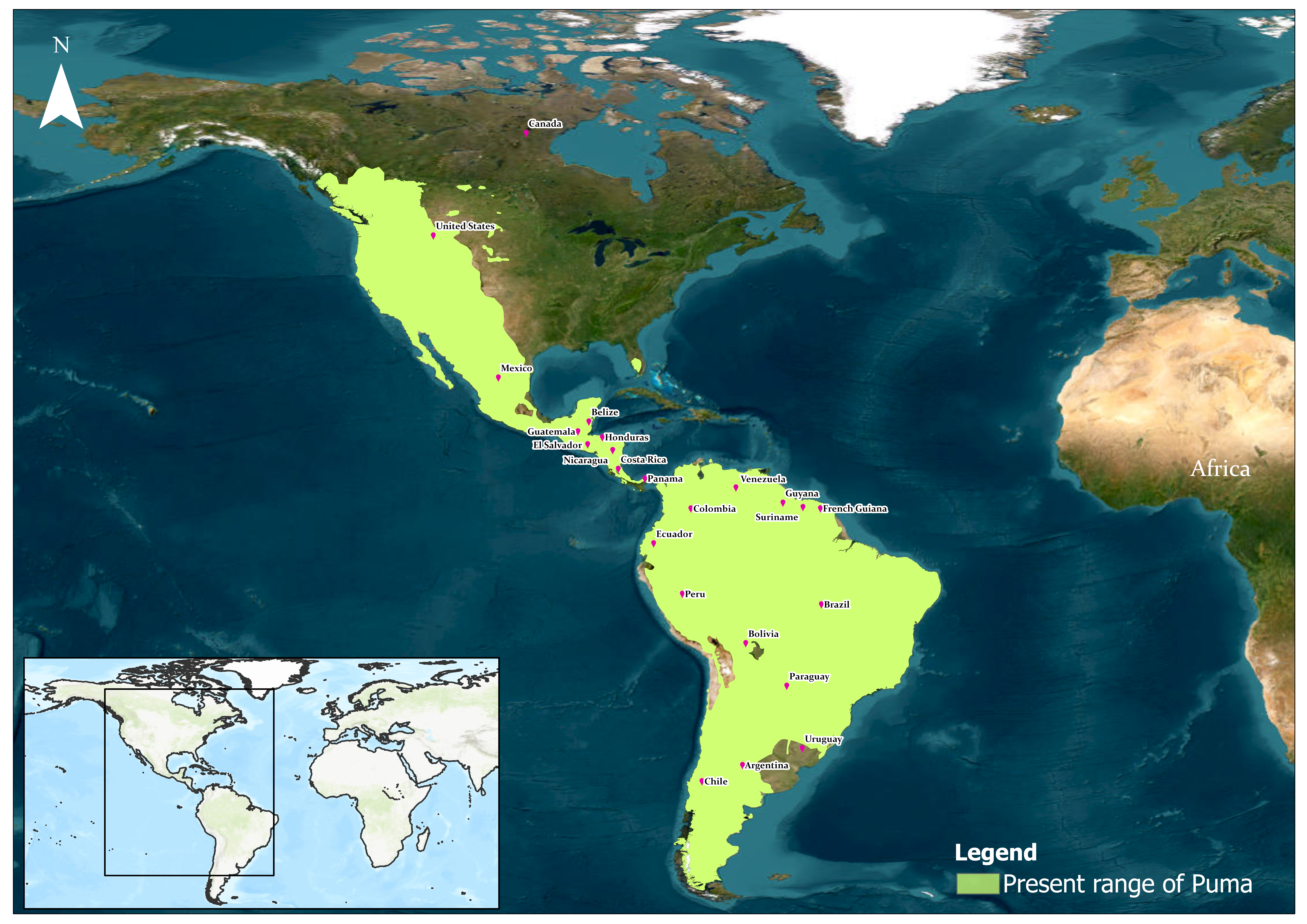 Present Distribution of Pumas